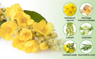NEYEROS® Botanical Mullein Lung Cleanse Diffuser(Cough, Pharyngitis, shortness of breath, sputum, stuffy nose, bronchitis, bronchitis, allergy symptoms, lung discomfort✅)